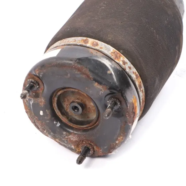 Amortizzatore Posteriore Pneumatico BMW X5 F15 6795013 image 7