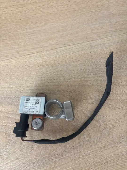 Tesla Model S negatieve poolklem OEM 10R036177 image 2