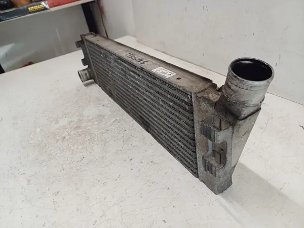 Intercooler RENAULT MEGANE 2 II 1.9 DCI image 7