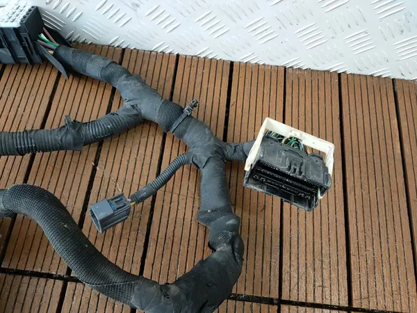 FORD TRANSIT CUSTOM 2.0 TDCI Bekabeling KK2T-9K499-CCC image 3