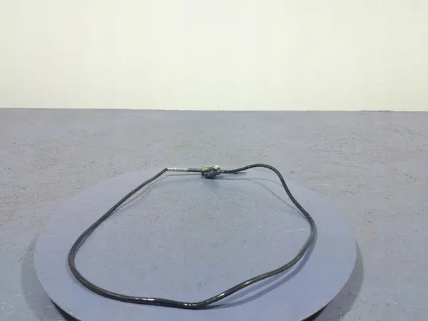 Uitlaat Temperatuur Sensor BMW X5 G05 LCI 8490645 image 2