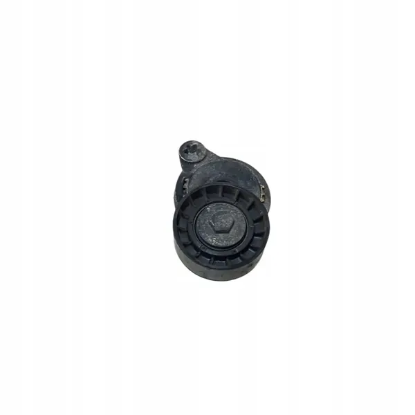 Tensor de correa alternador OEM 2FL74TF155 para Volvo image 5