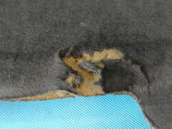 VW PASSAT B8 VARIANT 1.5 TSI 2024 Motorhaubenisolierung 3G0863831A image 7