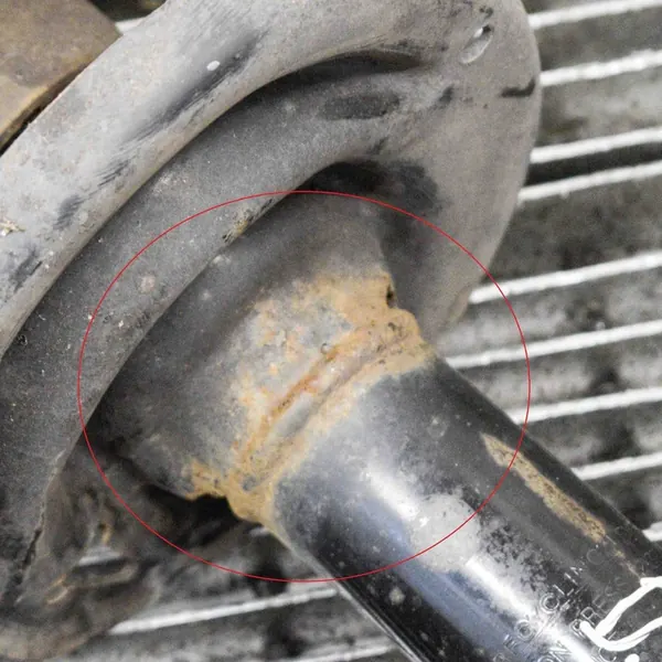 Ammortizzatore Anteriore Destro DACIA SANDERO 543022905R image 4