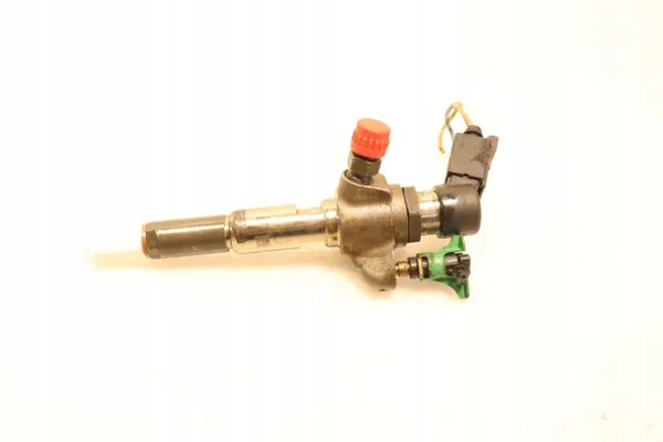 Injecteurs OEM 9802448680 pour Moteurs 1.6 EHDI image 4