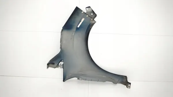 Para-lamas dianteiro esquerdo OEM 360151868 Ford C-Max MK2 image 10