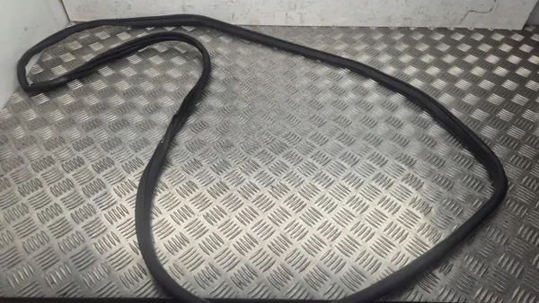 Türdichtung vorne rechts OEM 291099 für Nissan Ariya 2024 image 2