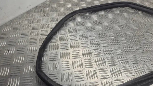 Türdichtung vorne rechts OEM 291099 für Nissan Ariya 2024 image 3