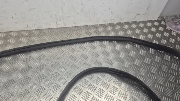 Türdichtung vorne rechts OEM 291099 für Nissan Ariya 2024 image 4