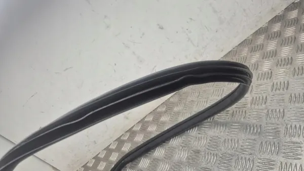Türdichtung vorne rechts OEM 291099 für Nissan Ariya 2024 image 5