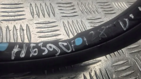 Türdichtung vorne rechts OEM 291099 für Nissan Ariya 2024 image 6