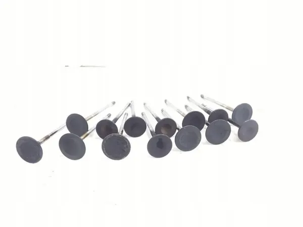 Válvula Opel Astra H 2006 ARA45944 image 2