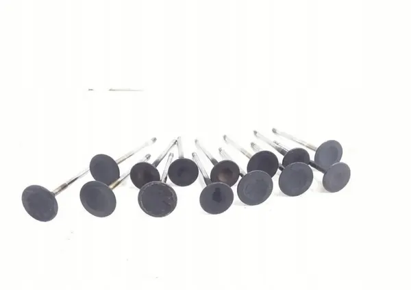 Válvula Opel Astra H 2006 ARA45944 image 3