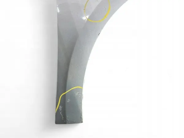 Renault Laguna III 2008 Främre Höger Skärm OEM 631000032R image 4