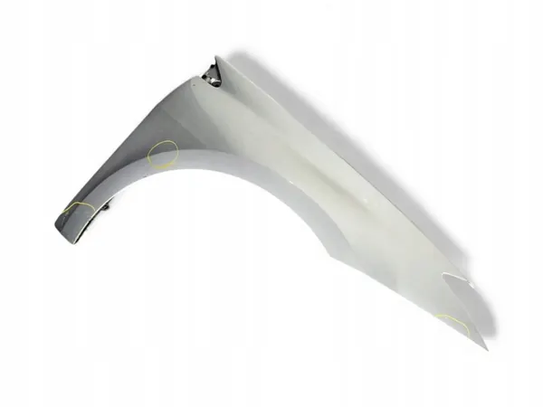 Renault Laguna III 2008 Främre Höger Skärm OEM 631000032R image 6