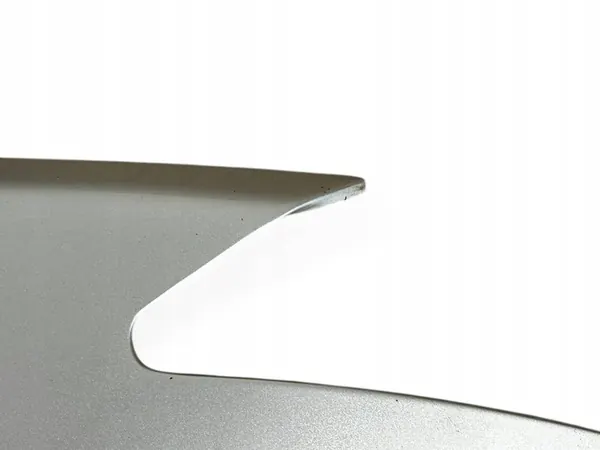 Renault Laguna III 2008 Främre Höger Skärm OEM 631000032R image 7