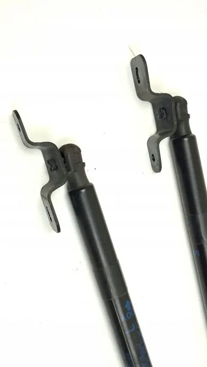 2019 Jeep Compass Actionneur de hayon 5069510600N image 2