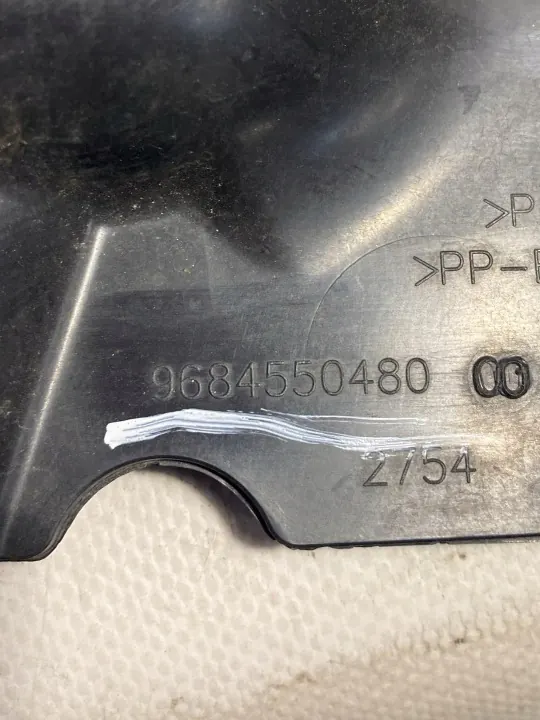 Jäähdyttimen ritilä Citroen C4 OEM 9684550480 (2004-2014) image 3