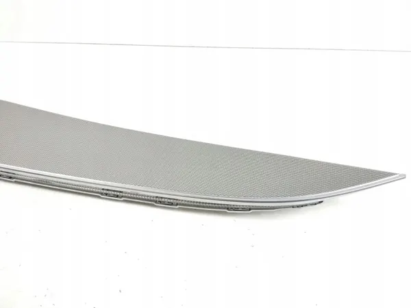 OEM RZV71894 Moldura Porta Traseira Mercedes-Benz E W213 image 3