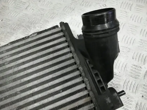 NISSAN X TRAIL RENAULT TALISMAN 144614EB0A image 2