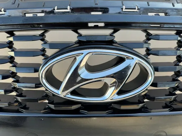 Hyundai OE 86351-G4000 grill image 4