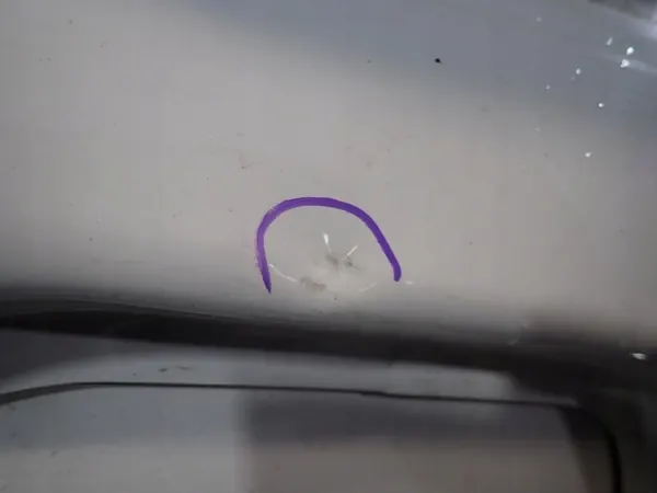 Puerta trasera derecha Dacia Logan I MPV OEM Zawada-381696- image 5