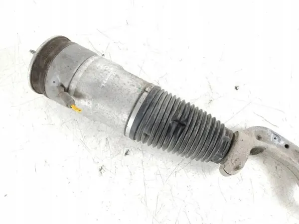 Tesla Model S Vorderer Luftfederungsdämpfer OEM 103060801A image 3