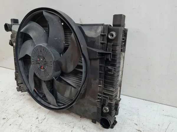 2006 Mercedes-Benz SLK R171 Radiateur A2035000593 image 10