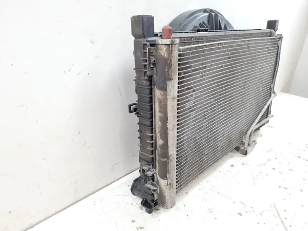 2006 Mercedes-Benz SLK R171 Radiateur A2035000593 image 4