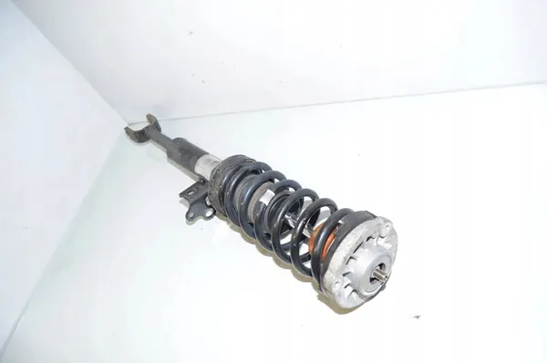 Ammortizzatore anteriore sinistro BMW 5 (F10) 31316775575 image 2