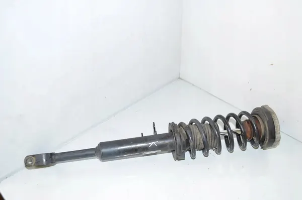 Ammortizzatore anteriore sinistro BMW 5 (F10) 31316775575 image 4