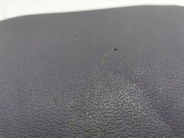 Audi A1 2019 Baksätes huvudstöd höger sida OEM AMD119471 image 7