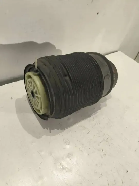Hintere rechte Federungsdämpfung OEM R308613025 image 3