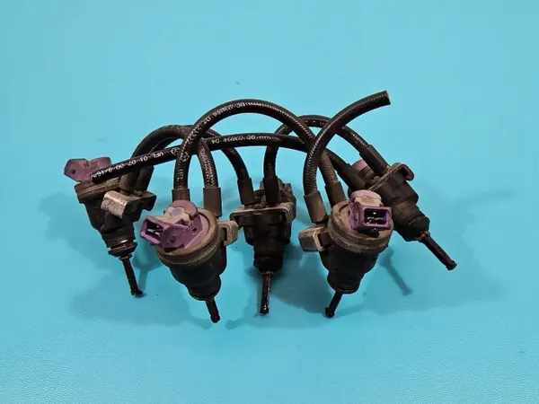 Inyector GLP VIALLE 15 Morado 5 piezas OEM IMPRK1365060 image 4