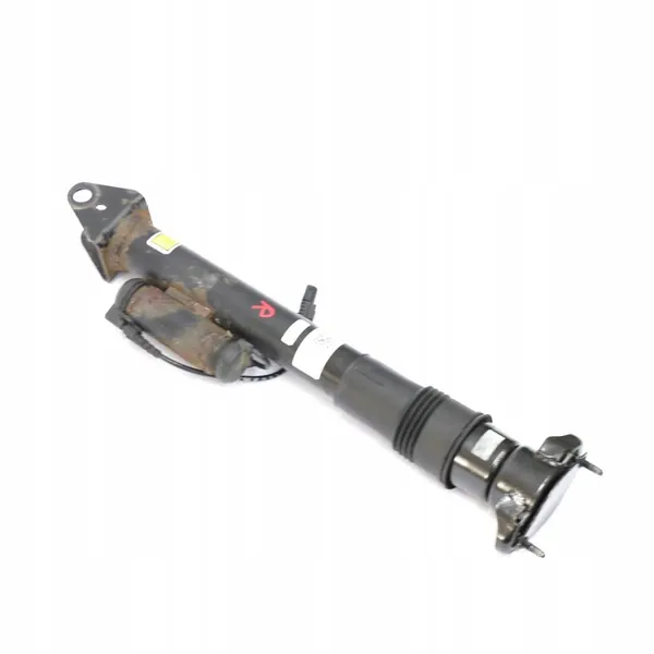 Mercedes W251 Bakre Stötdämpare A2513202231 image 10