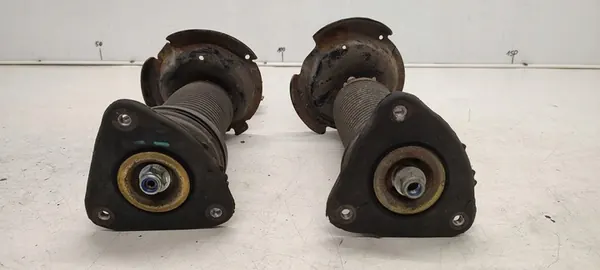 Ammortizzatore Sachs 313 287 image 2