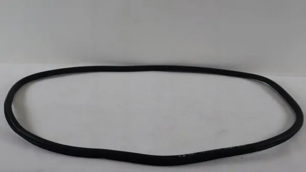 OEM 1173331223 Jeep Compass II Deurafdichting Links Achter image 2