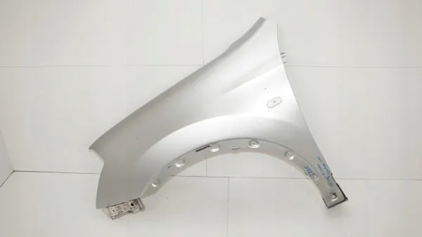 OEM 360193881 Kotflügel vorne links für Nissan Qashqai J10 image 2