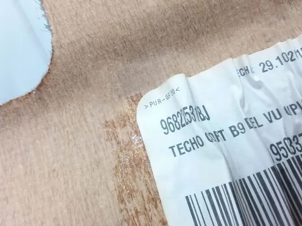 OEM 96822531BJ Forro de Teto para Citroen Berlingo 2018 image 3