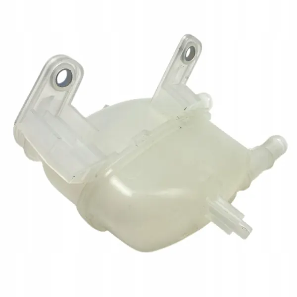 Uitzettank OEM 217106RS5A voor Renault modellen image 9