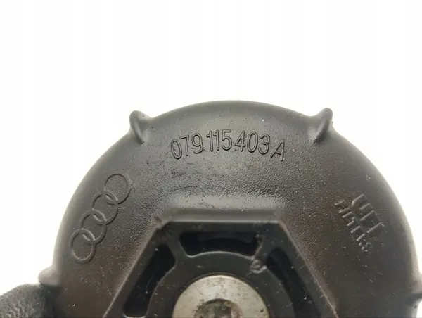 Luftfilter Audi A8 S8 D4 4H 2015 079115403A image 5