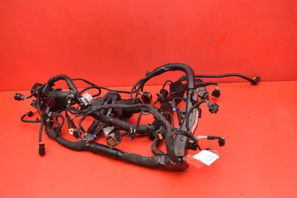Moottorin Johdotus OEM 91400-CM010 Hyundai Kona image 2