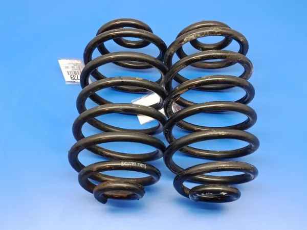 Molas suspensão traseira Opel Zafira A OEM CADILAK-Bochnia-497739- image 2