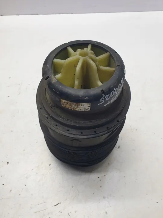 Muelle Airmatic Trasero Derecho OEM A2123204025 image 2
