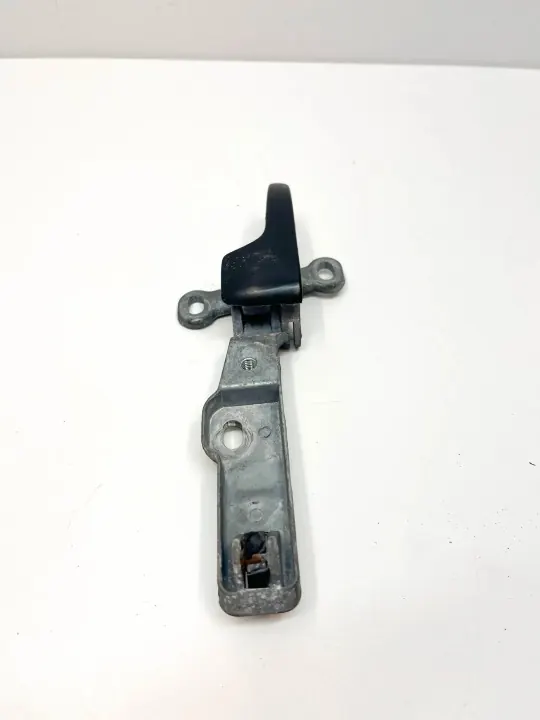 Puxador interior dianteiro esquerdo OEM A1077600361 image 4