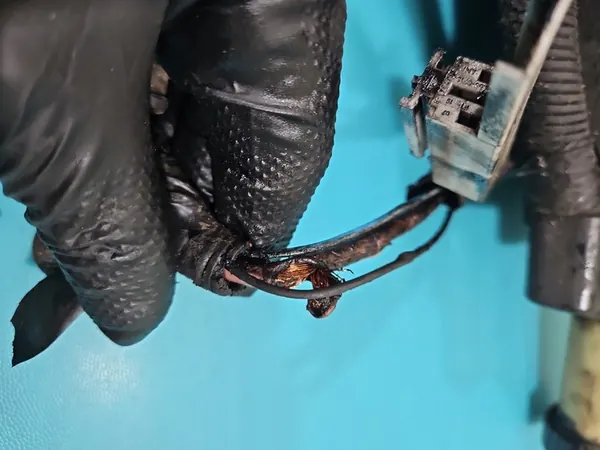 Servostuurpomp Opel Astra II G 9191970 image 9