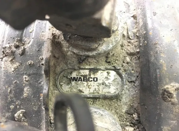 DAF Bromskammare, drivaxel 1686002 image 4