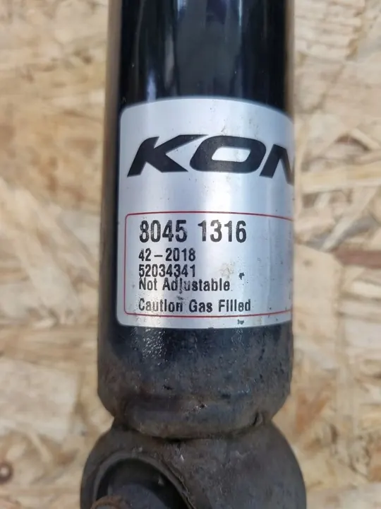 Amortizzatore posteriore FIAT 500 80451316 image 2