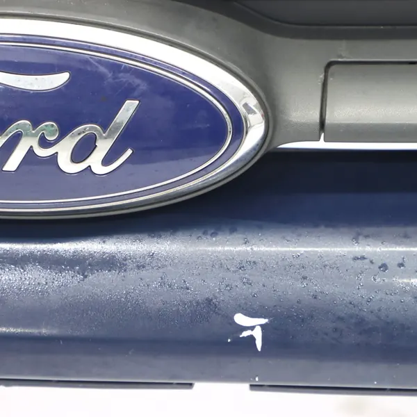 Griglia anteriore Ford Transit Custom Mk8 Blu Blazer - 1779135 image 8