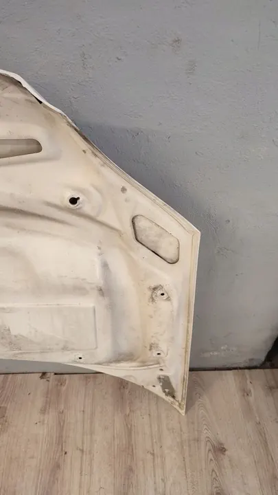 Mercedes-Benz OE A9067500002 motorhuv image 9